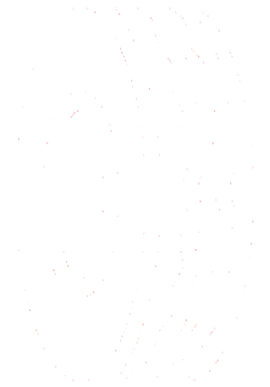 Profils de pneus